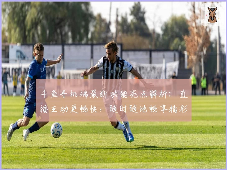 斗鱼手机端最新功能亮点解析：直播互动更畅快，随时随地畅享精彩内容