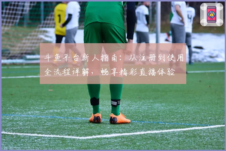 斗鱼平台新人指南:从注册到使用全流程详解,畅享精彩直播体验